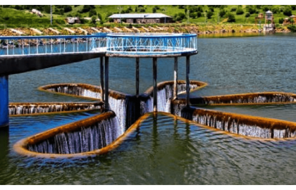 WHAT TO DO IN ARMENIA